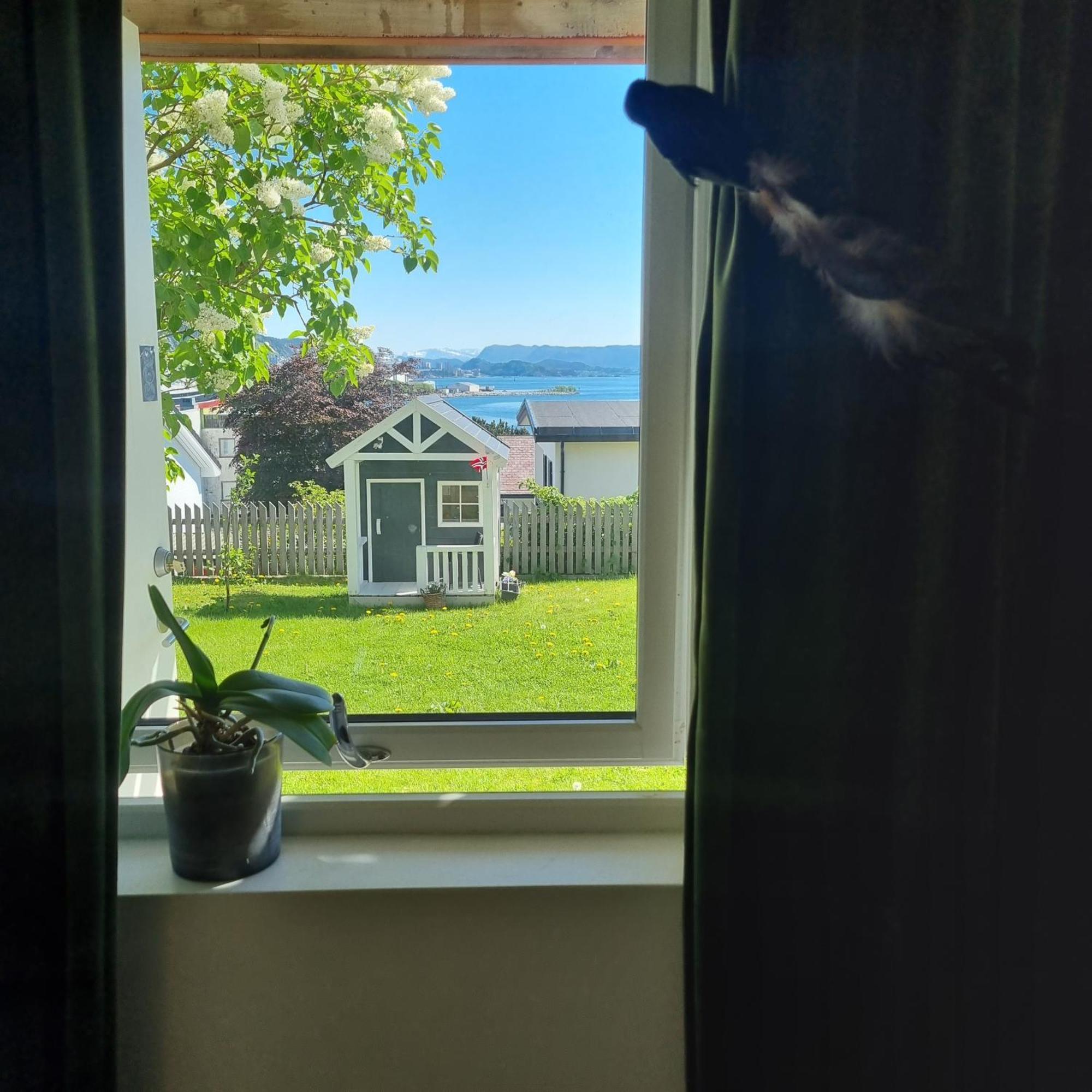 Apartment Near Center / Free P Alesund Exterior photo